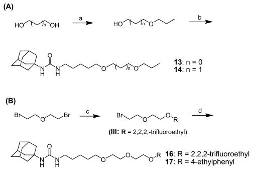 Scheme 3