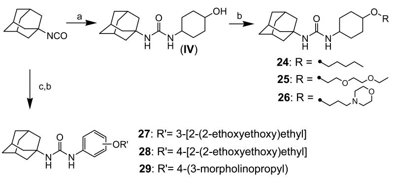 Scheme 5