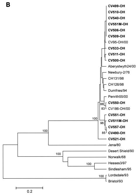 FIG. 3.