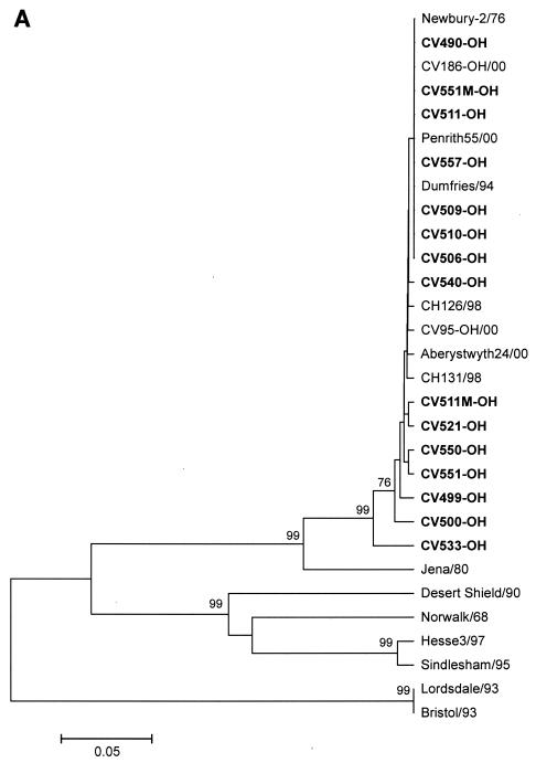 FIG. 3.