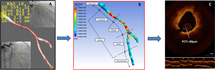 Fig 2