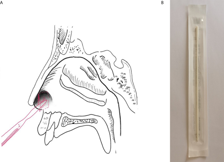 Figure 1