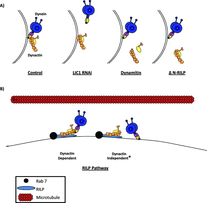 Figure 9: