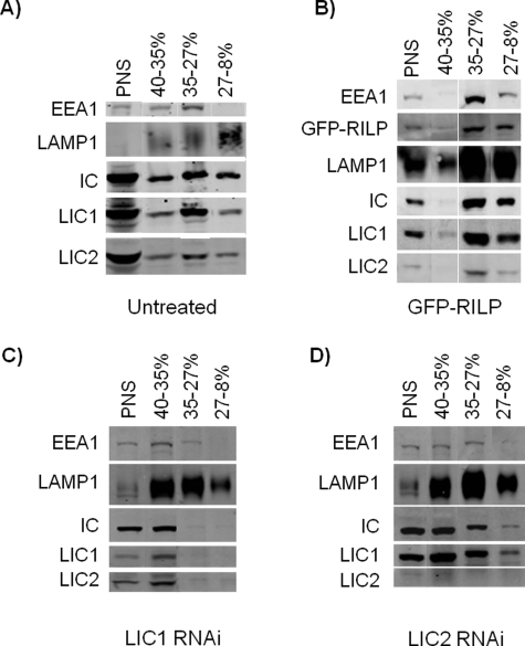 FIGURE 6: