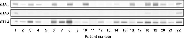 FIG. 4.