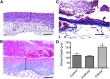 <b>FIG. 4.</b>