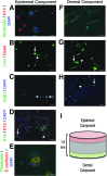 <b>FIG. 3.</b>