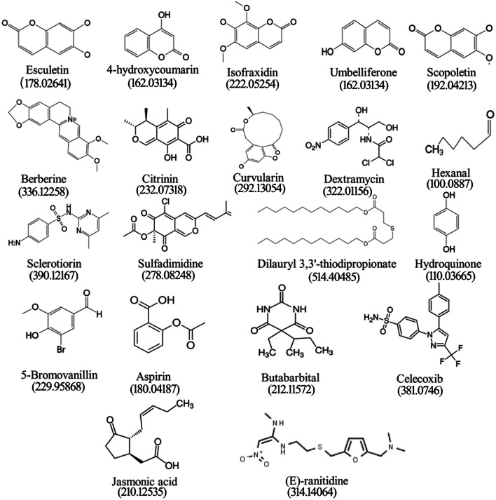 Figure 5.