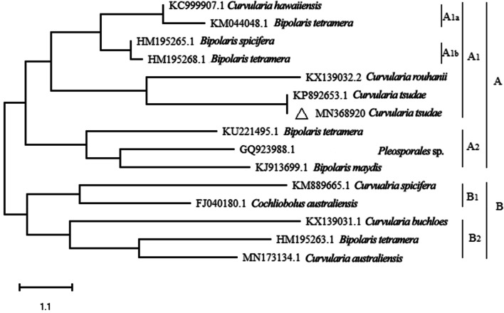 Figure 1.