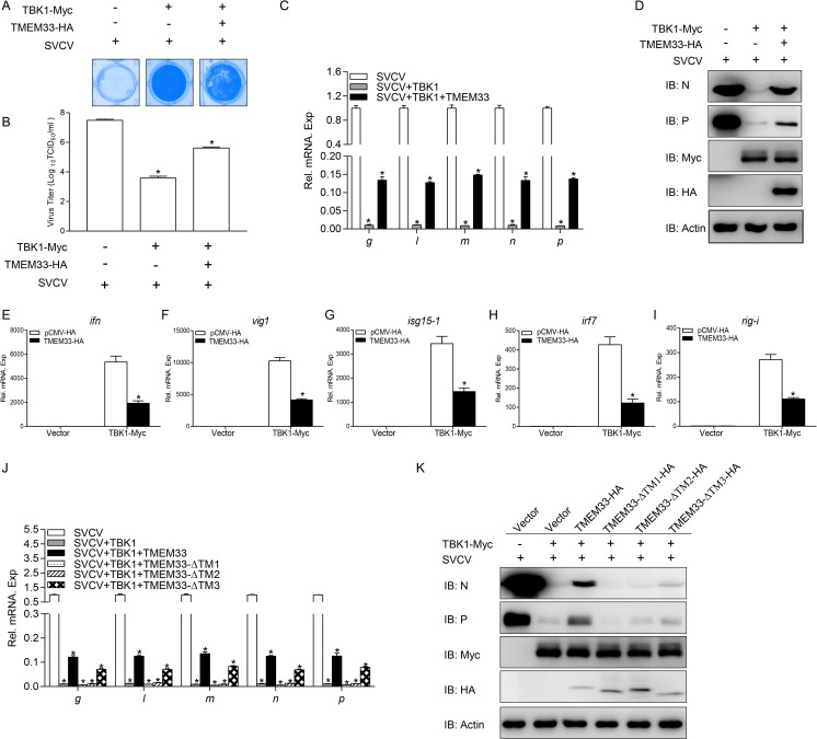 Fig 10