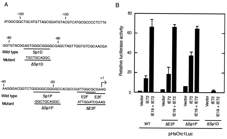 FIG. 8.