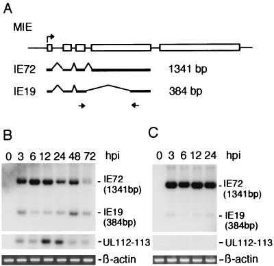 FIG. 5.