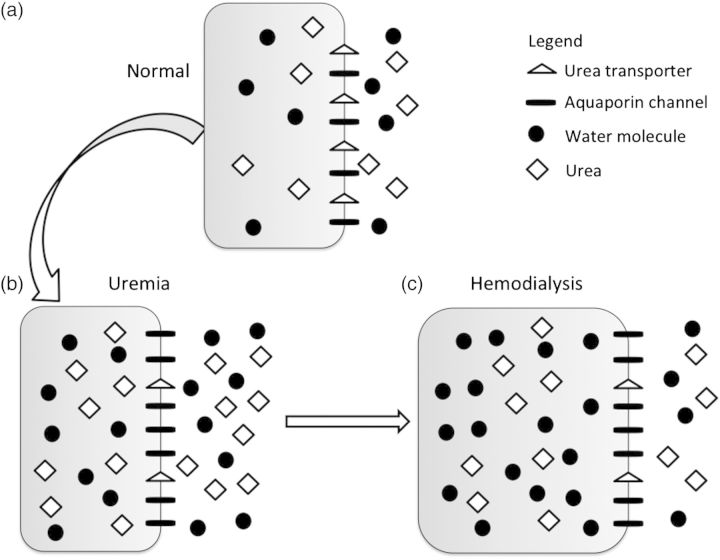 Fig. 1.