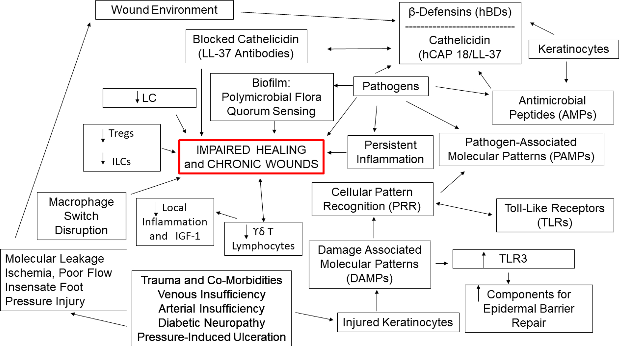 Figure 4: