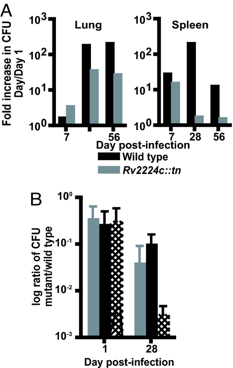 Fig. 2.