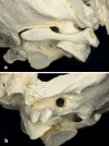 Fig. 3