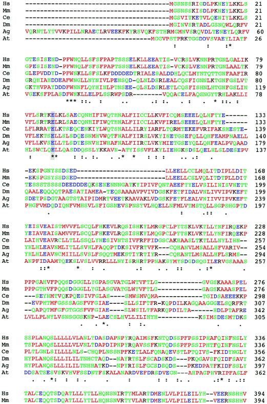 Figure  3