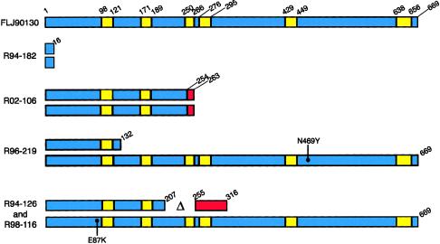 Figure  5