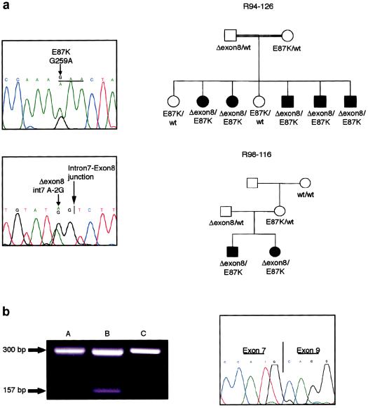 Figure  4