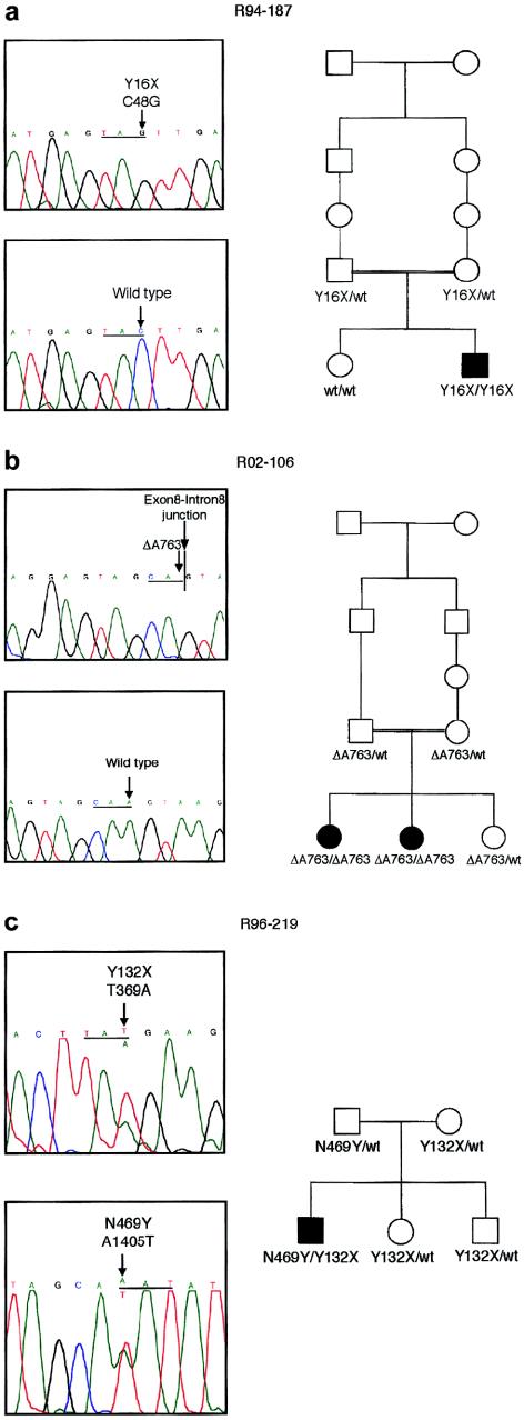 Figure  2