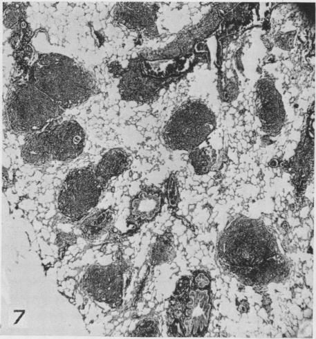 graphic file with name brjindmed00245-0037-a.jpg