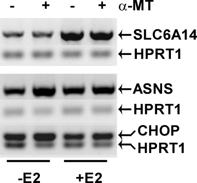 FIGURE 11.