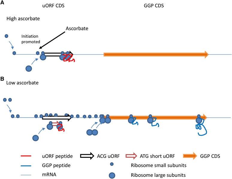 Figure 11.