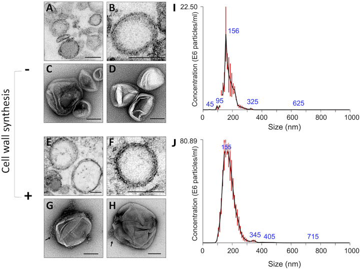 FIG 3