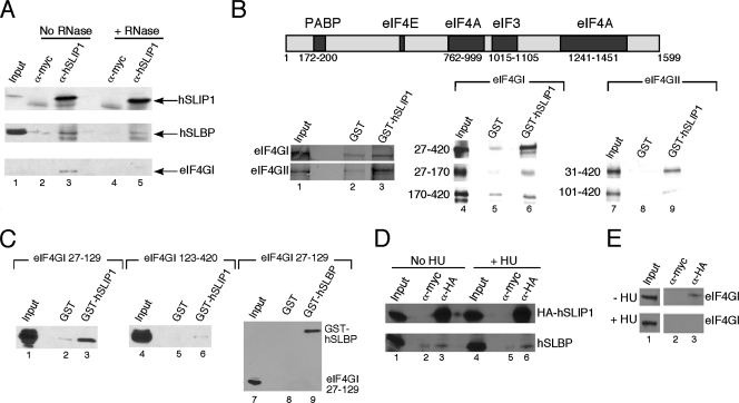 FIG. 6.