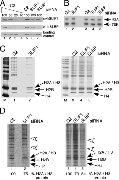 FIG. 8.