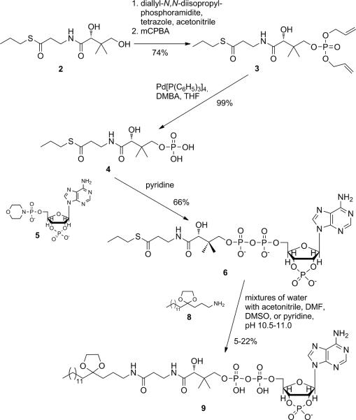 Scheme 1