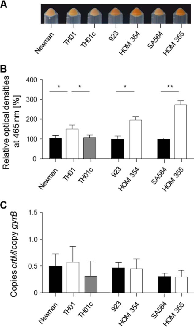 FIGURE 5.