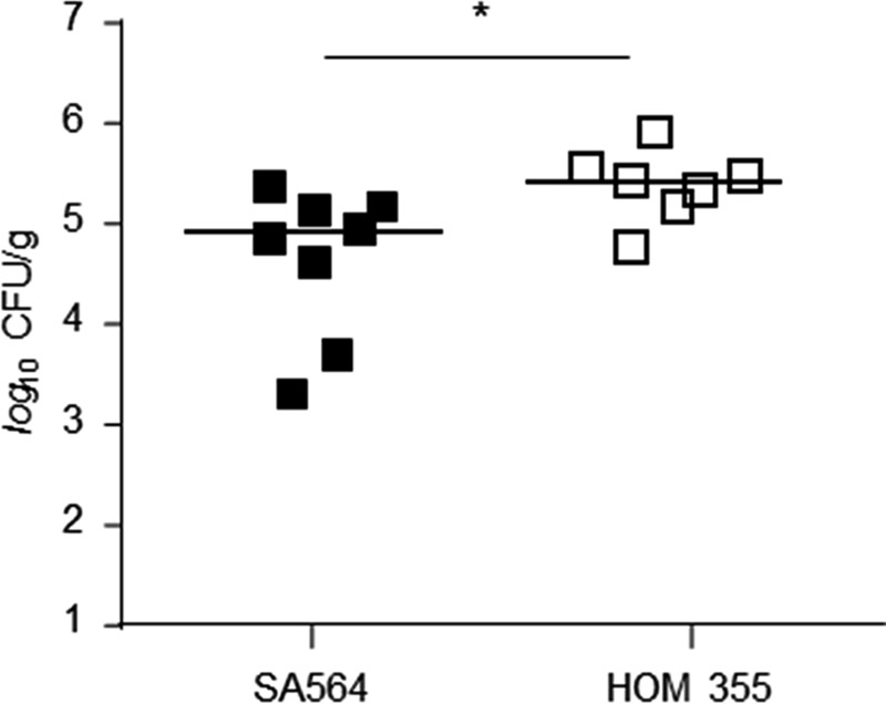 FIGURE 7.