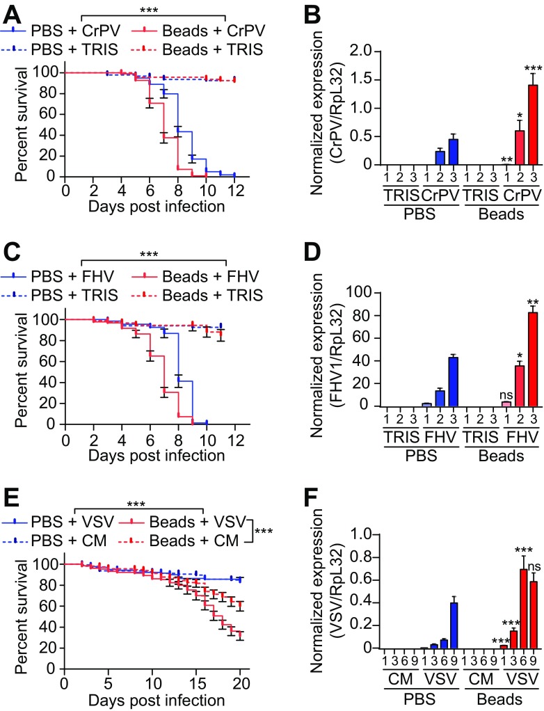 FIG 1