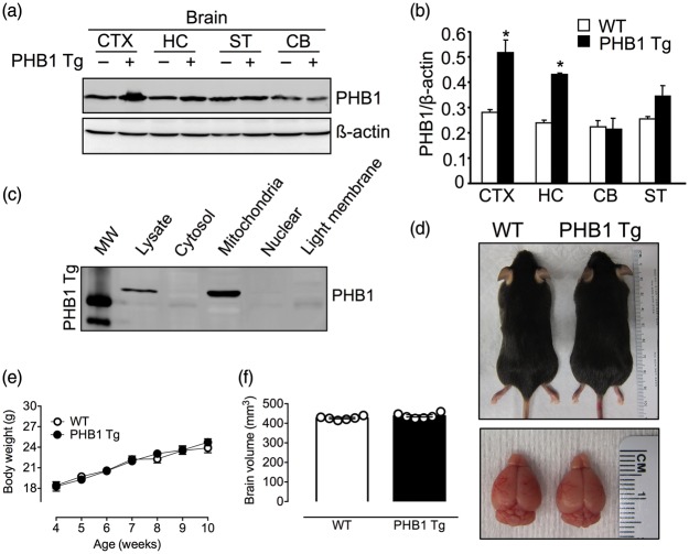 Figure 1.