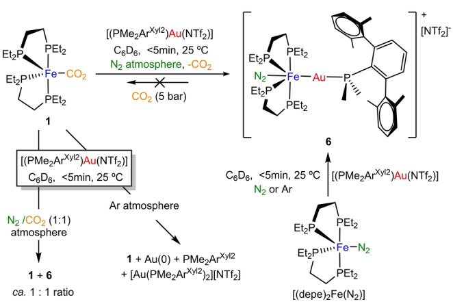 Scheme 3