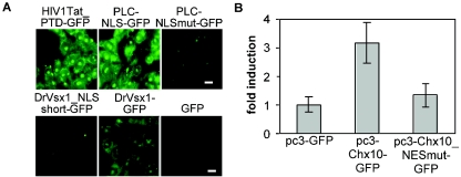 FIG. 6.