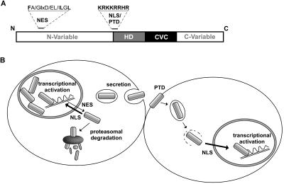 FIG. 7.