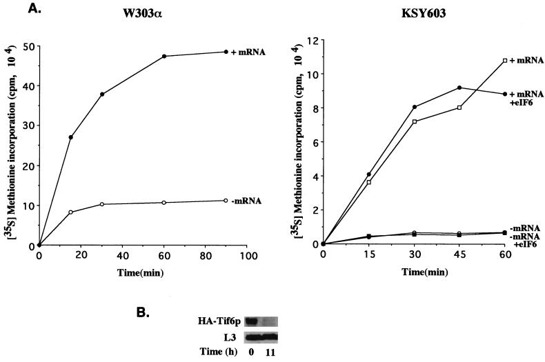 FIG. 7