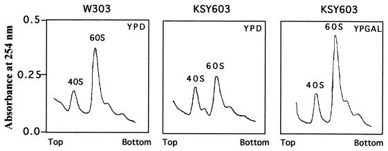 FIG. 6