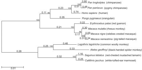 Figure  1. 