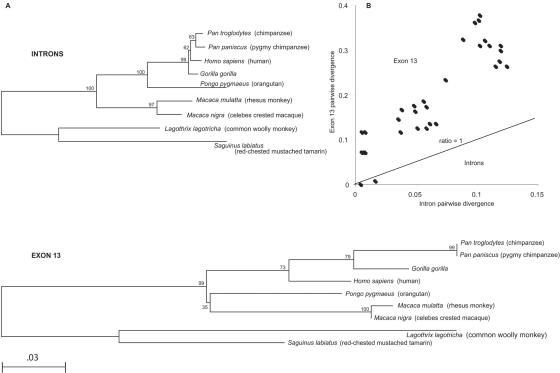 Figure  3. 