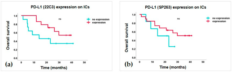 Morphological and Immunocytochemical Characterization of Tumor ...