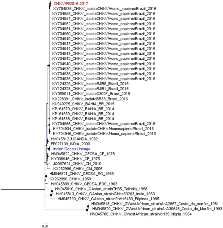 Supplemental Figure 1