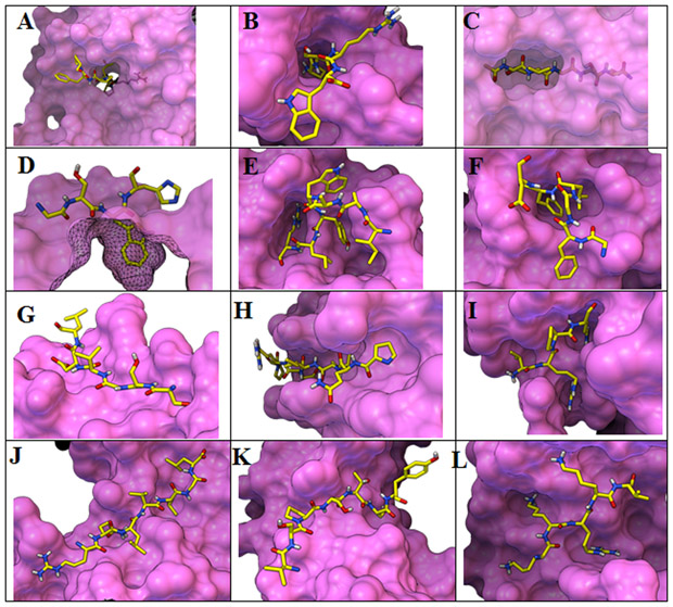 Figure 2: