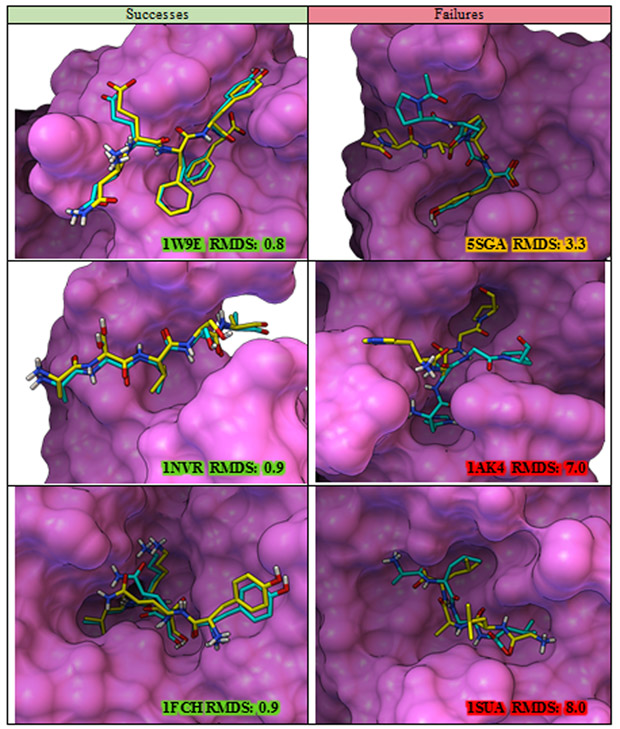 Figure 10: