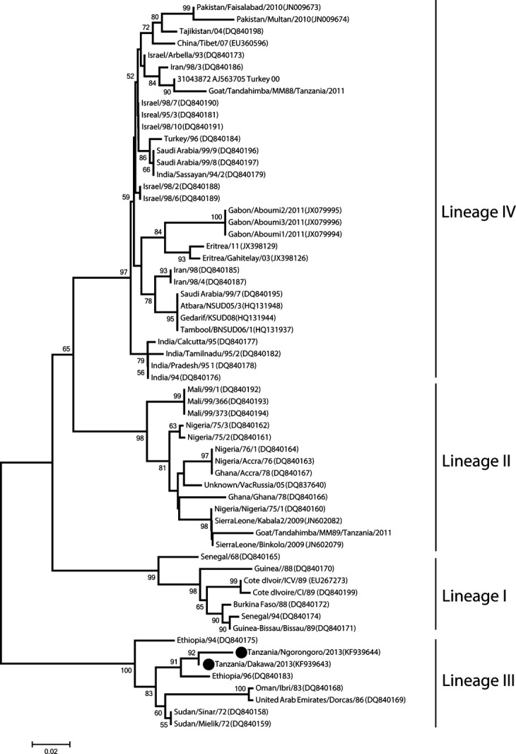 Fig 3