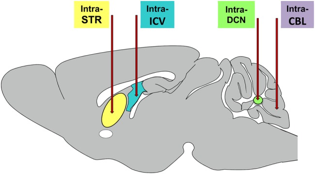 Figure 1.