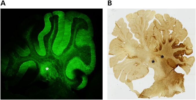 Figure 3.