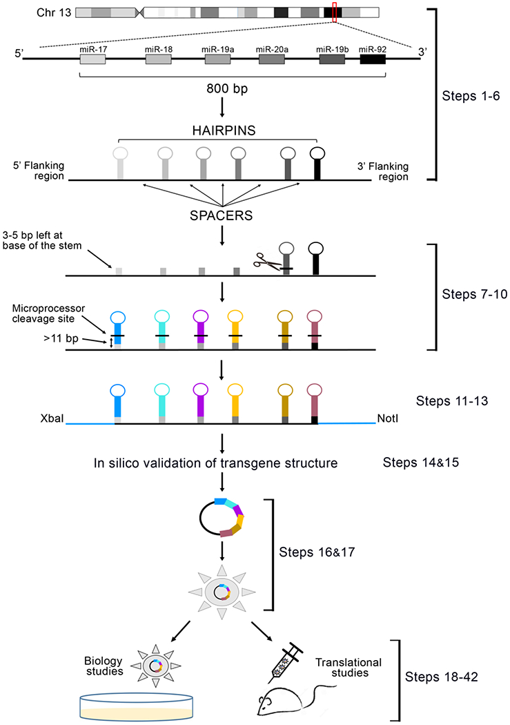 Figure 1: